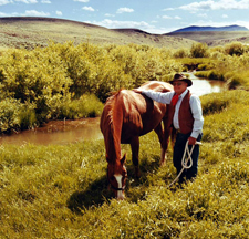 USA-Montana-Big Belt Mountains Cattle Drive